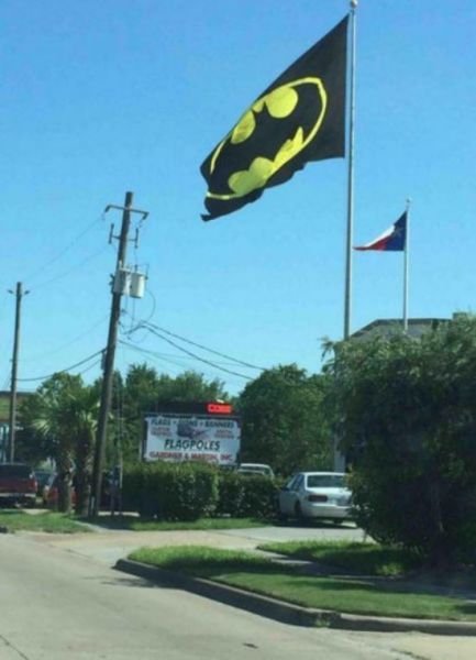 Funny Work Photos (39 pics)
