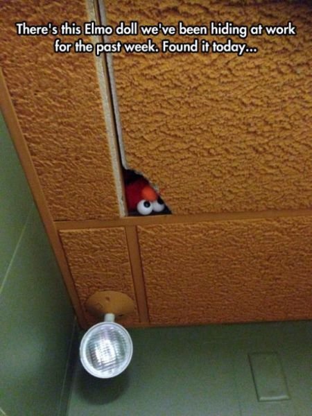 Funny Work Photos (39 pics)