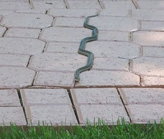 Photos For Perfectionists (30 pics)