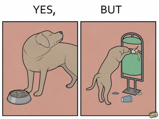Hilarious ''Yes, But'' Pictures (21 pics)