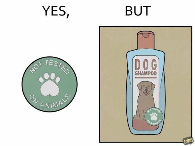 Hilarious ''Yes, But'' Pictures (21 pics)