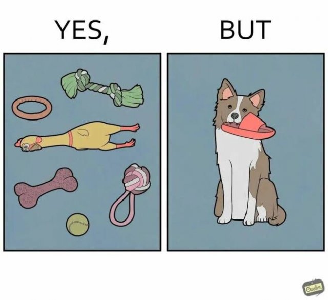 Hilarious ''Yes, But'' Pictures (21 pics)