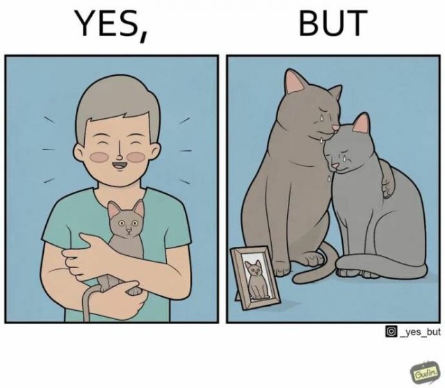 Hilarious ''Yes, But'' Pictures (21 pics)
