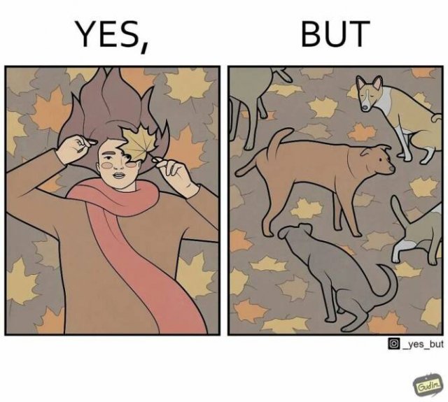 Hilarious ''Yes, But'' Pictures (21 pics)