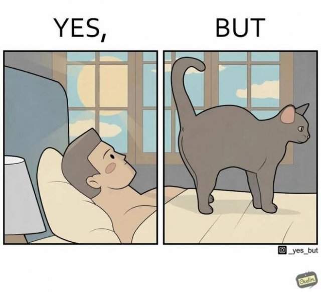 Hilarious ''Yes, But'' Pictures (21 pics)
