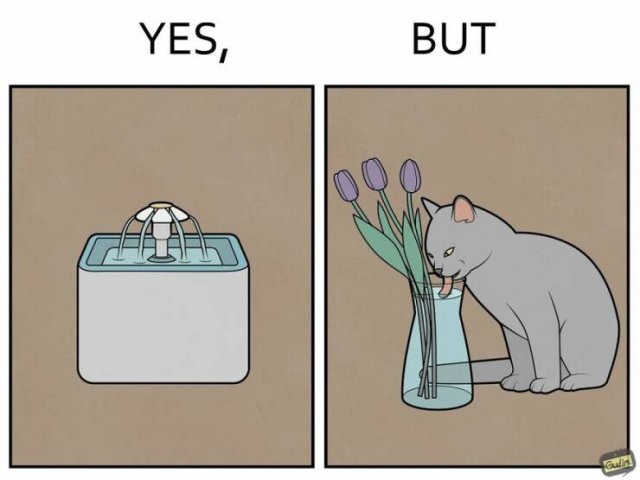 Hilarious ''Yes, But'' Pictures (21 pics)