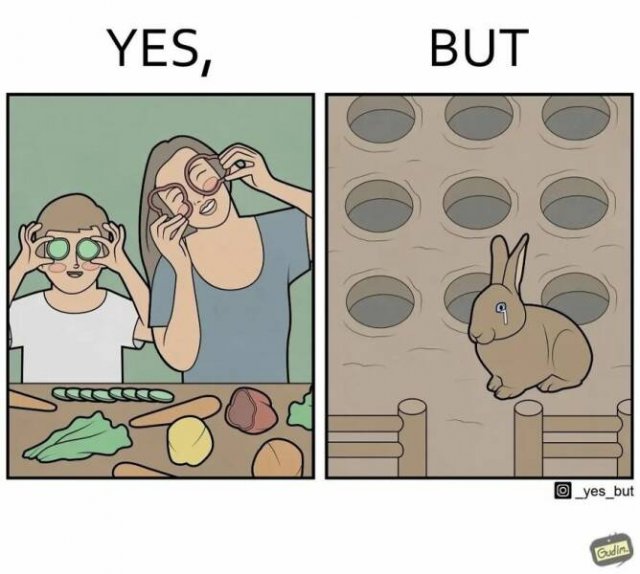 Hilarious ''Yes, But'' Pictures (21 pics)