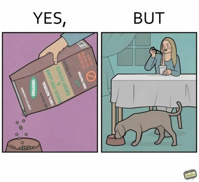 Hilarious ''Yes, But'' Pictures (21 pics)