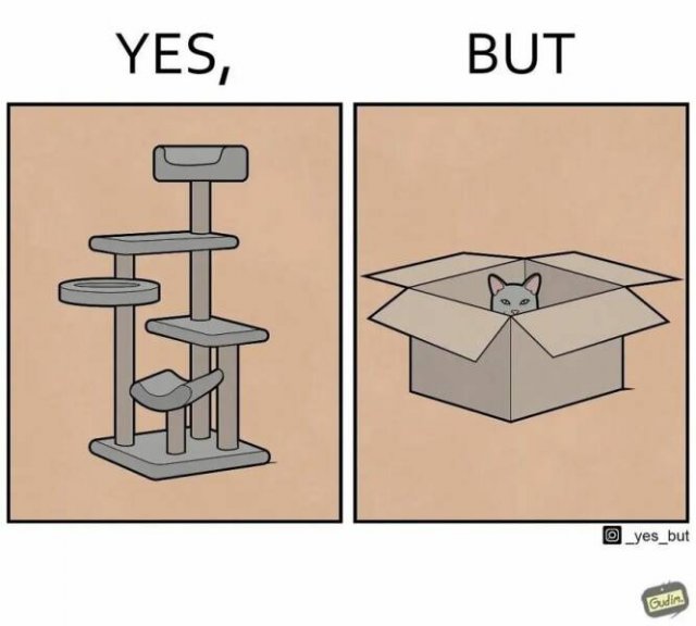 Hilarious ''Yes, But'' Pictures (21 pics)
