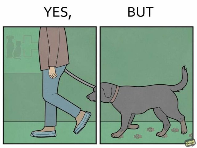 Hilarious ''Yes, But'' Pictures (21 pics)