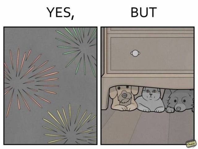 Hilarious ''Yes, But'' Pictures (21 pics)