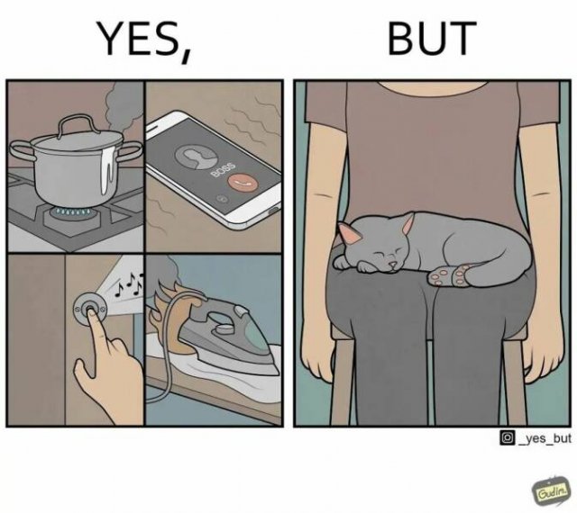 Hilarious ''Yes, But'' Pictures (21 pics)