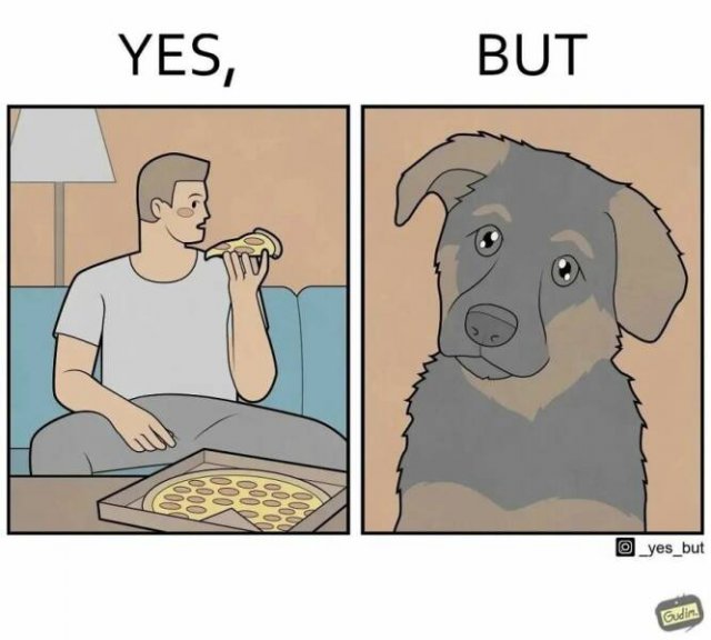 Hilarious ''Yes, But'' Pictures (21 pics)