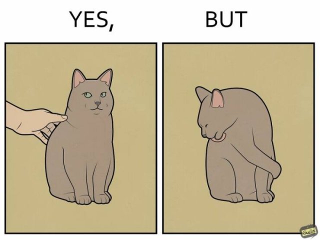 Hilarious ''Yes, But'' Pictures (21 pics)