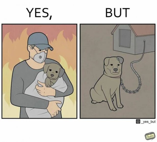 Hilarious ''Yes, But'' Pictures (21 pics)