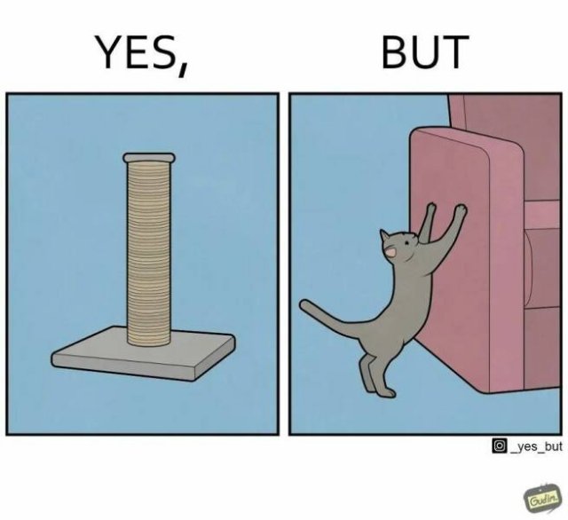 Hilarious ''Yes, But'' Pictures (21 pics)