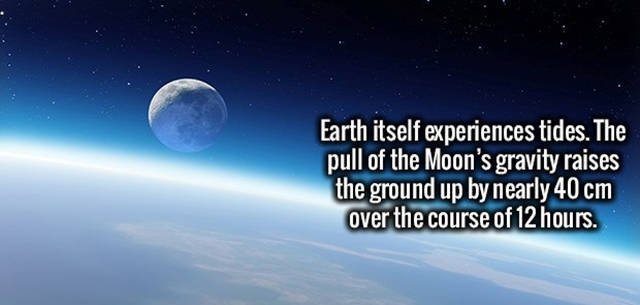 Interesting Facts (47 pics)