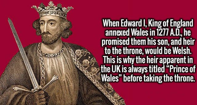 Interesting Facts (47 pics)