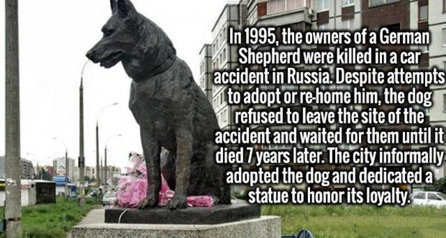 Interesting Facts (47 pics)