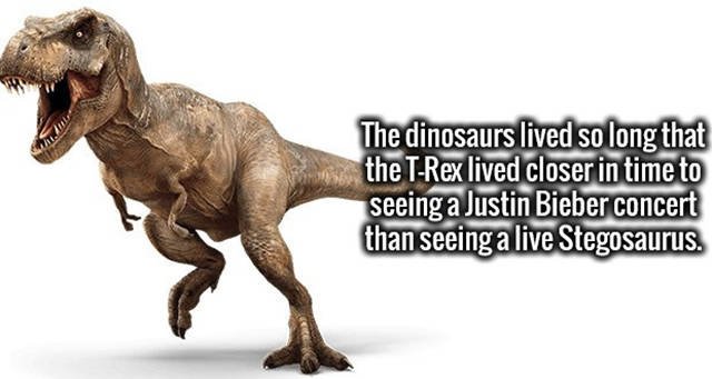 Interesting Facts (47 pics)