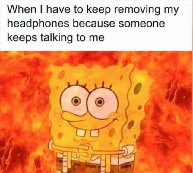 Truthful Memes (20 pics)