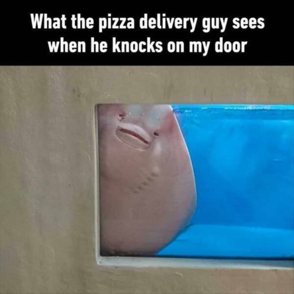 Truthful Memes (20 pics)