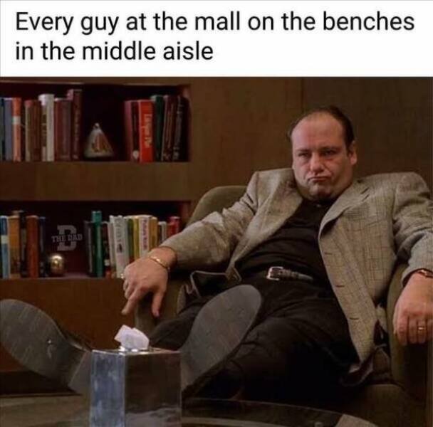 Truthful Memes (20 pics)