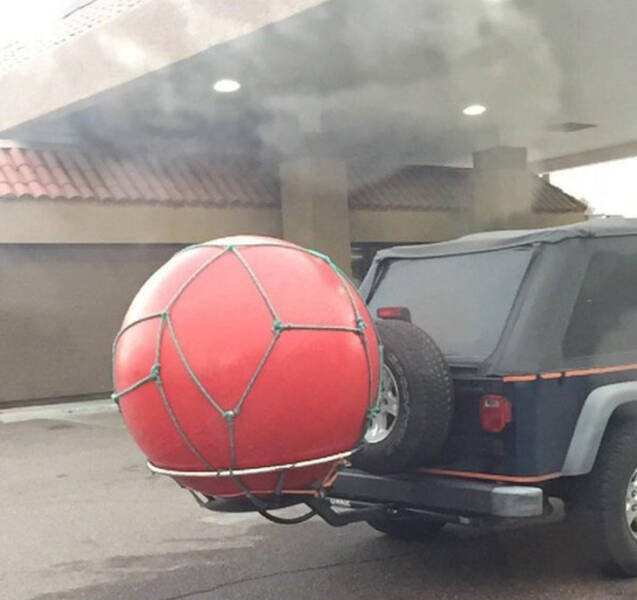 What Are These Things? (19 pics)