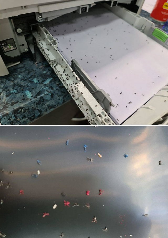 Tech Support Disasters (45 pics)