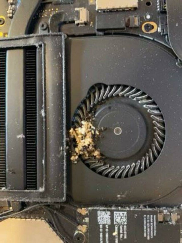 Tech Support Disasters (45 pics)