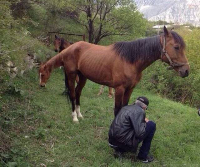 Right Moment (39 pics) Right Moment (39 pics)