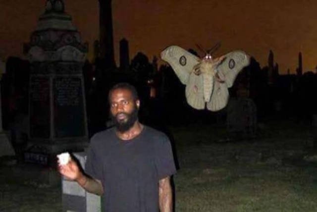 Right Moment (39 pics) Right Moment (39 pics)