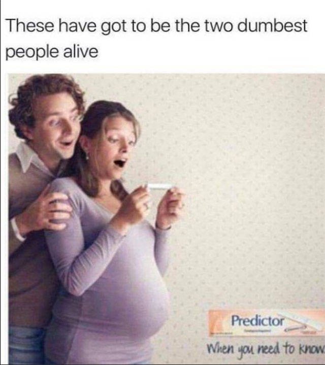 Truthful Memes (65 pics)