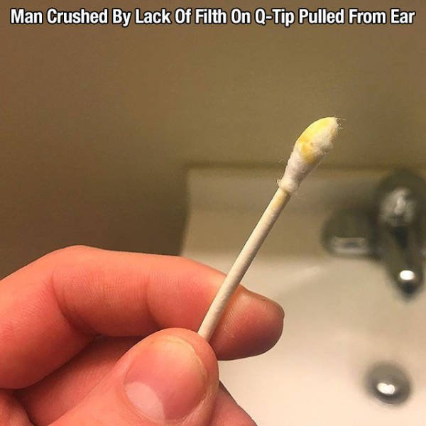 Truthful Memes (65 pics)