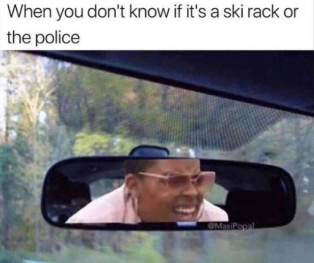 Truthful Memes (65 pics)