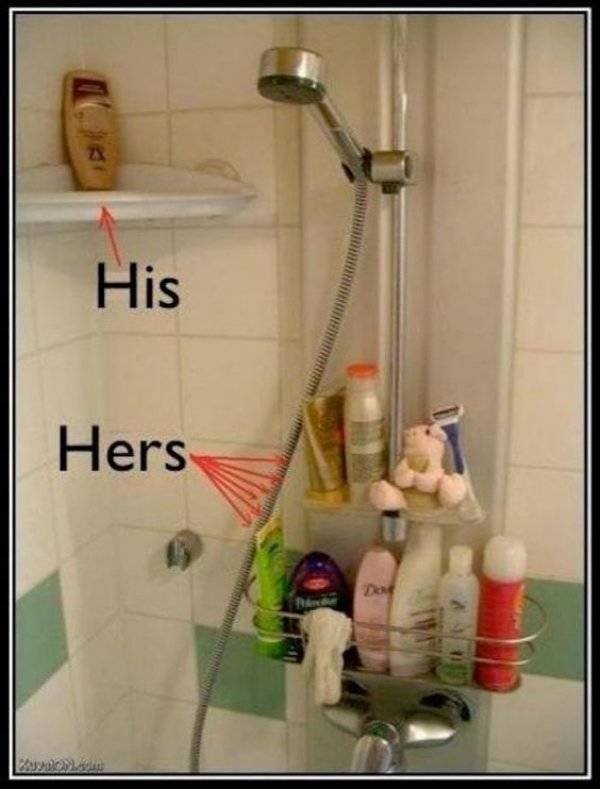 Truthful Memes (65 pics)