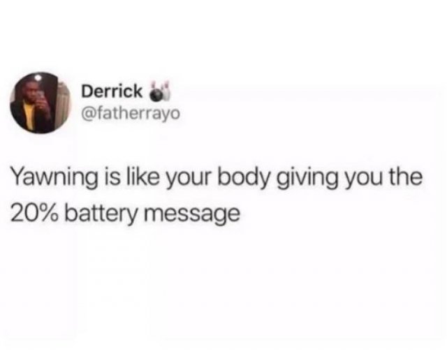 Truthful Memes (65 pics)