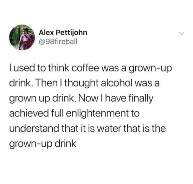 Truthful Memes (65 pics)