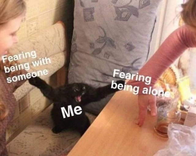 Truthful Memes (65 pics)