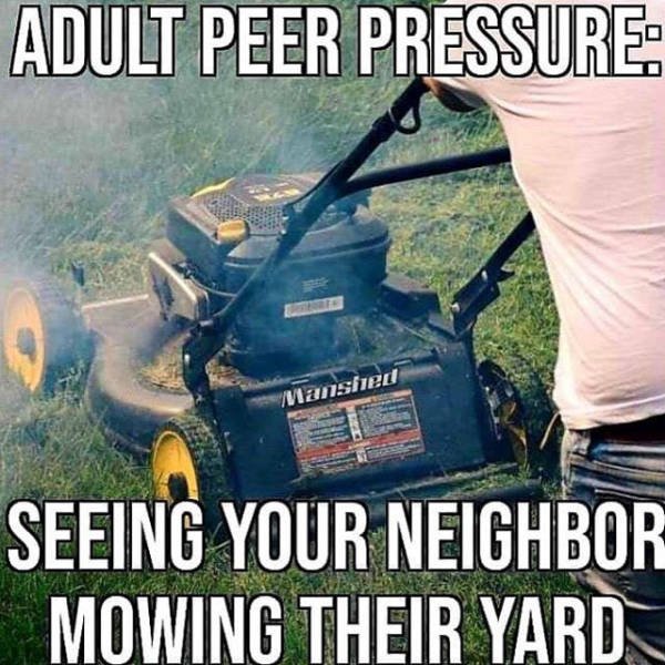Truthful Memes (65 pics)