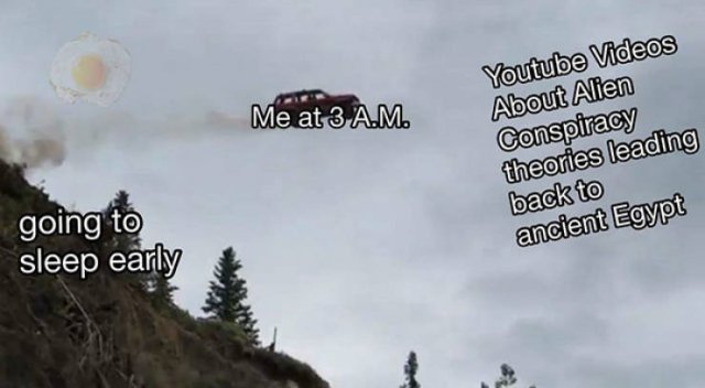 Truthful Memes (65 pics)