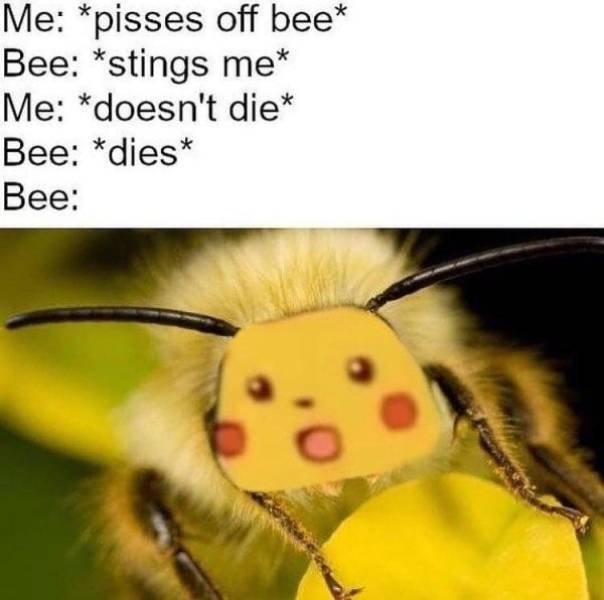 Truthful Memes (65 pics)