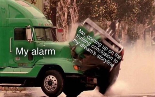 Truthful Memes (65 pics)