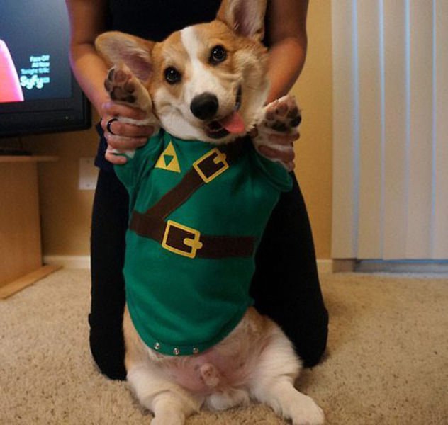 Memes And Pictures For Gamers (33 pics) Memes And Pictures For Gamers (33 pics)