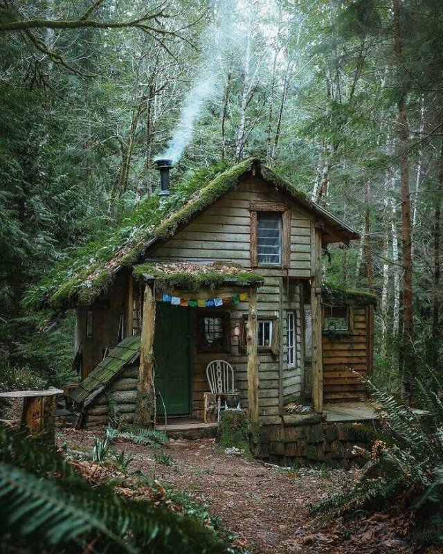 Great Renovation (29 pics)