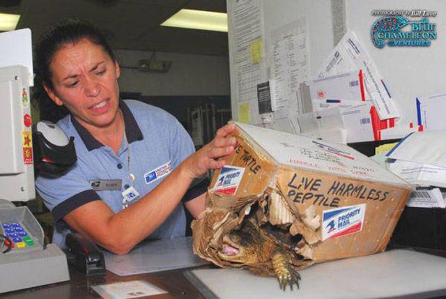 Funny Photos From Work (44 pics) Funny Photos From Work (44 pics)
