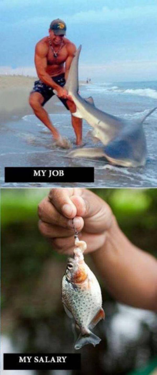 Funny Photos From Work (44 pics) Funny Photos From Work (44 pics)