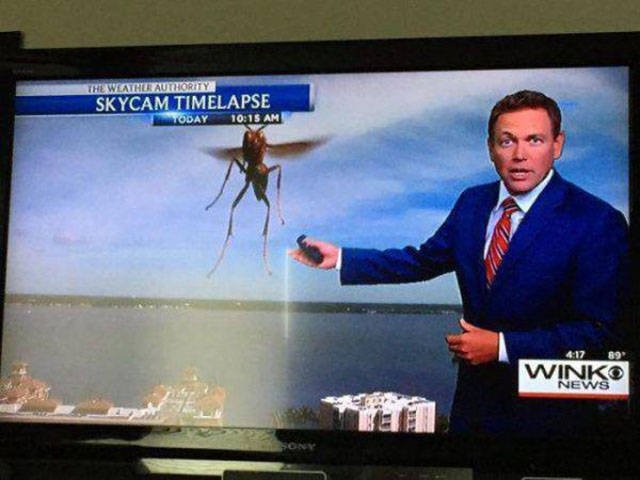 Funny Photos From Work (44 pics) Funny Photos From Work (44 pics)