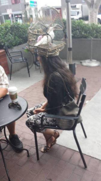 What Is Going On Here? (40 pics) What Is Going On Here? (40 pics)