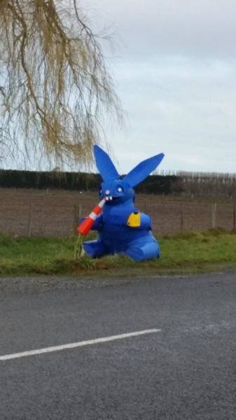 What Is Going On Here? (40 pics) What Is Going On Here? (40 pics)